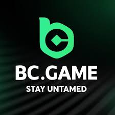 B C Game Login Your Gateway to Exciting Gaming Experiences